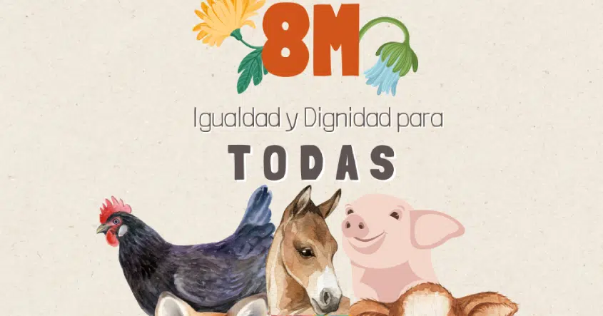 Igualdad y dignidad para todas 8 de Marzo